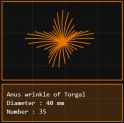 15 KB