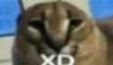 47 KB