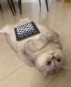 562 KB