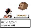 152 KB