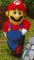 31 KB