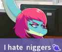 113 KB
