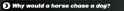 31 KB