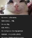 121 KB