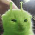 alien kitten