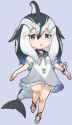 Pacific_White-Sided_DolphinOriginal