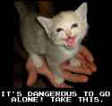 TAKETHISCAT
