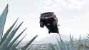 Forza-Horizon-5-12_9_2021-9_49_21-PM