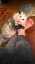 possum_hugs_feet