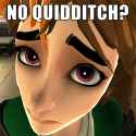 no quidditch