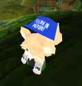 stupidCap