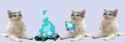nekospend