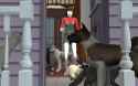 pets2