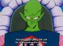 piccolo_day