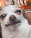 tfw no gf