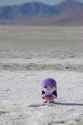 Mari Plush Beach