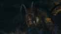 DDON 2025-04-27