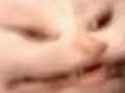 1732466533314095