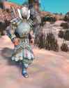 Training Armor