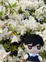 flowersunny