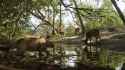 55_Mount_Kalaga_National_Park_05