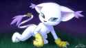 gatomon_sexy_x_by_milesnukem_dd8yfi3-fullview