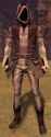 Generic_Character_Model_(humanoid_light)