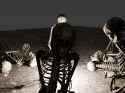 more_bones