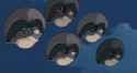 tanuki042-3080754636