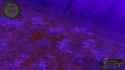 ss_fever_03-31-21_00-49-36_(dark_forest)