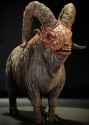 bighorner