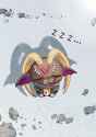 GoqC1VgW0AA_pUz