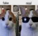 1742437329778224