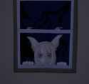 Neko Window