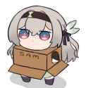 Firefly Box