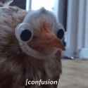 confusion