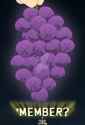 memberberries