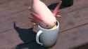 glub sippin