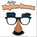 deluxe-disguse-glasses