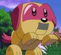 Electronic_Pet