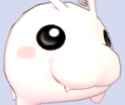 stares