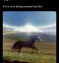 1732939893981794m