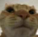 1730702461617064