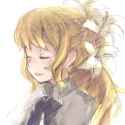 Lillys_lilies