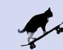 get-real-cat