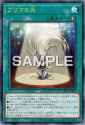 PrimaLight-LPG1-JP-OP