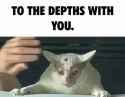 cat banishment