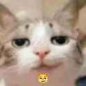 1743941853558146