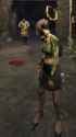 regular zarina