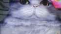 pso20250203_201332_000